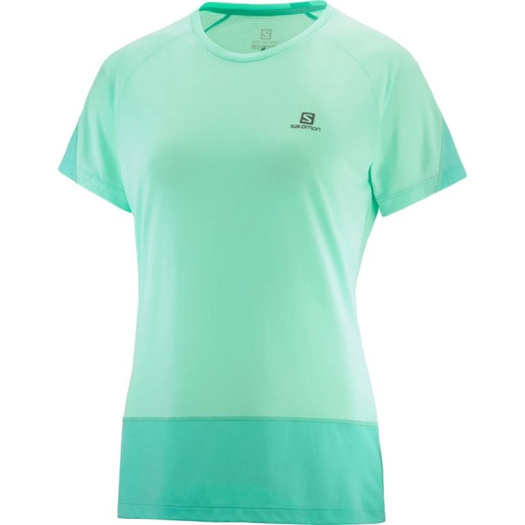 Salomon Cross Run Short Sleeve Women's T-Shirts Turquoise | CA 74X8